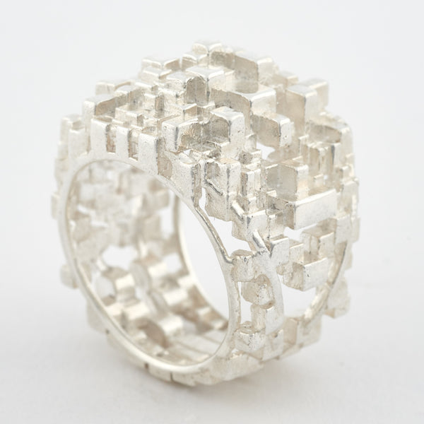 The Voxel Ring
